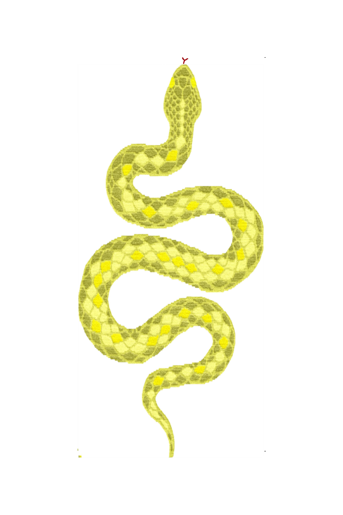 Yellow Snake