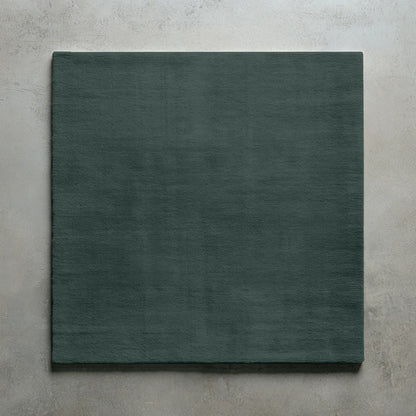 Salamander - Small Sample