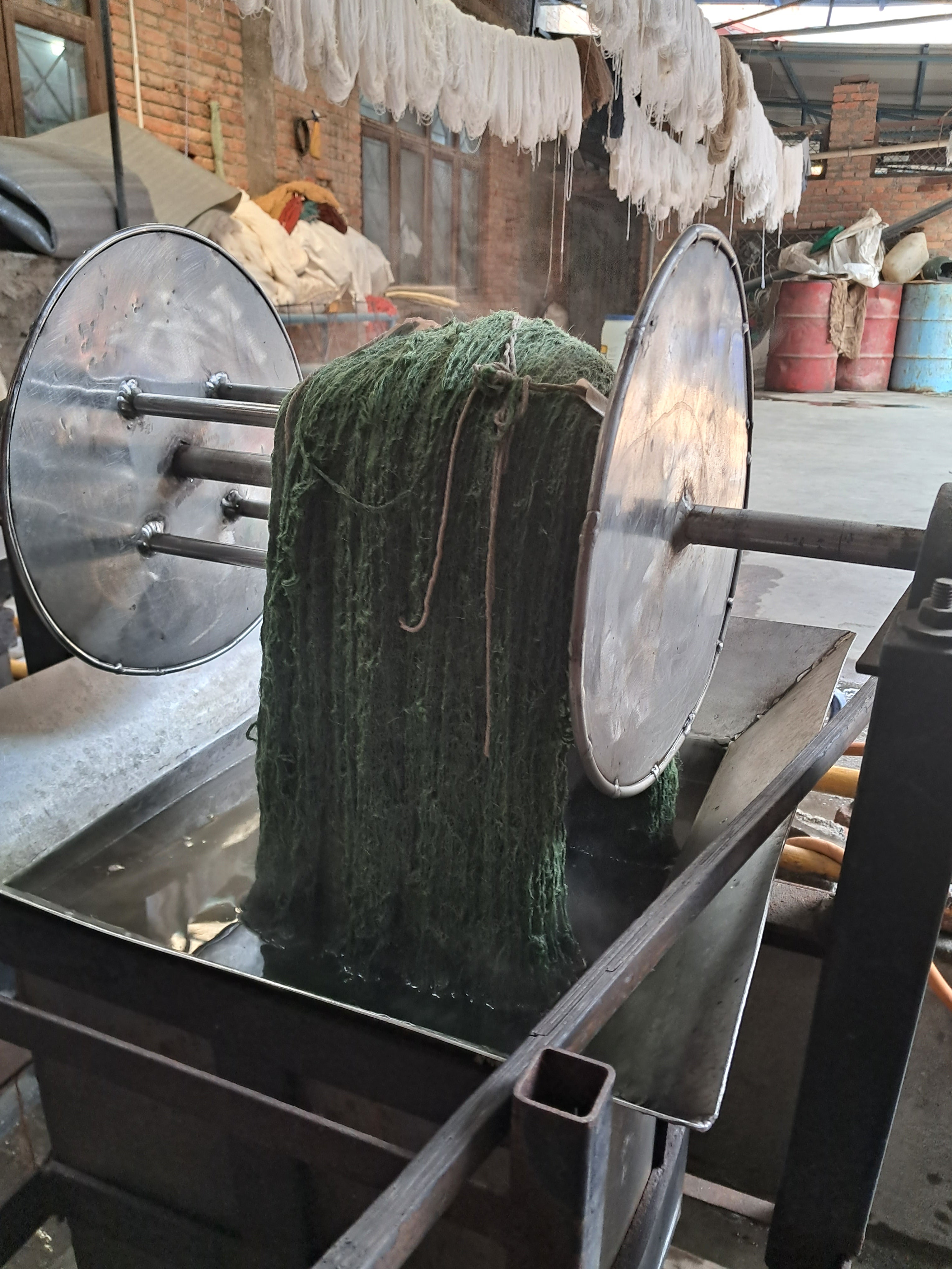 Green Snake